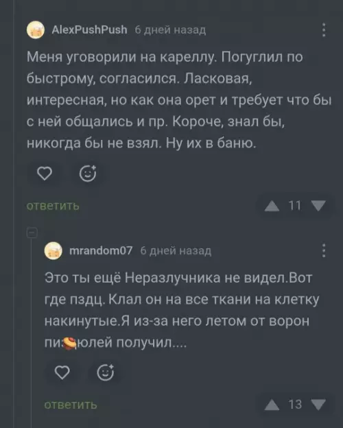 Смешная картинка №793939 Обзывался