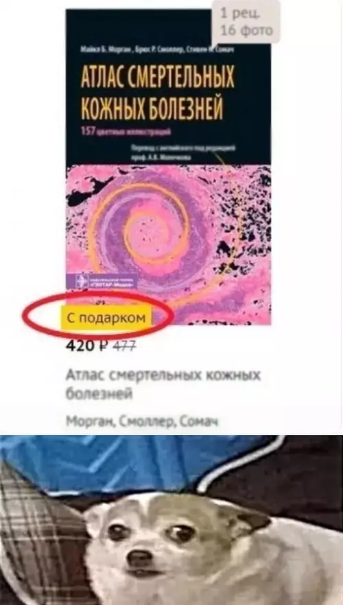 Смешная картинка №704935 Приятный бонус