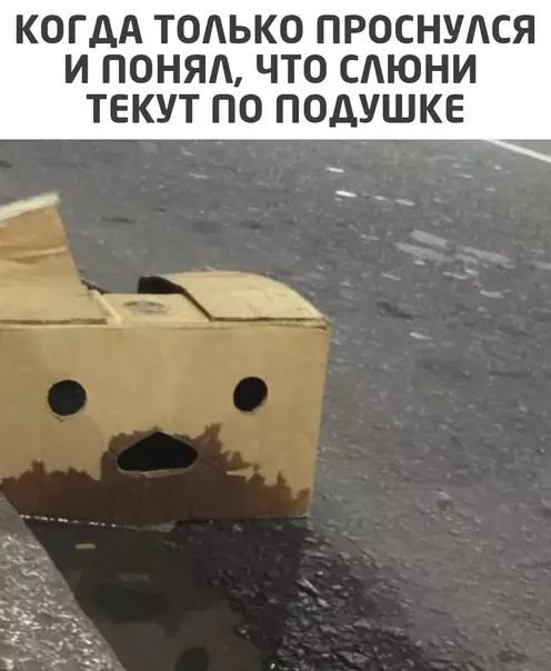 Смешная картинка №565675