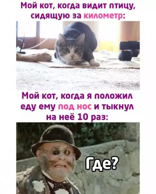 Смешная картинка №610308