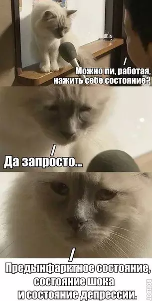 Смешная картинка №175225 Работа