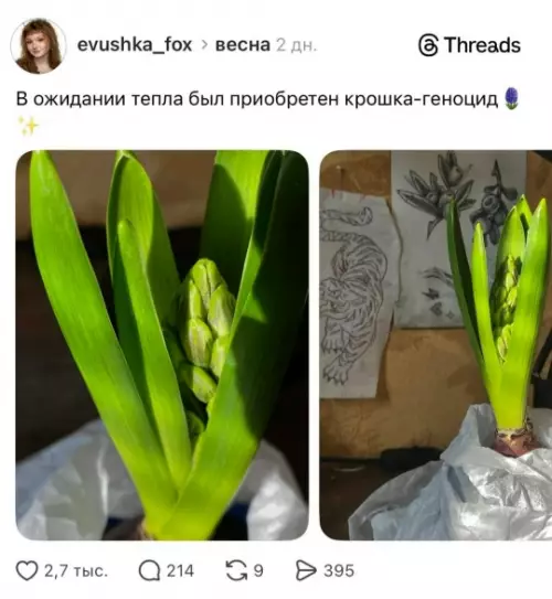 Крошка-генацид: весенние размышления