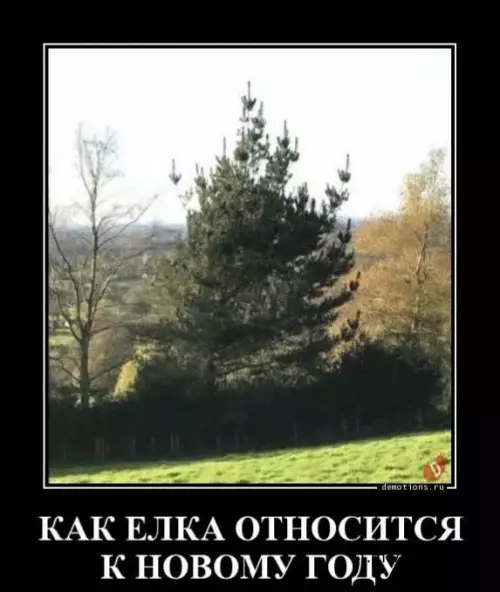 Смешная картинка №668814 картинки