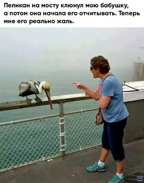 Смешная картинка №270700