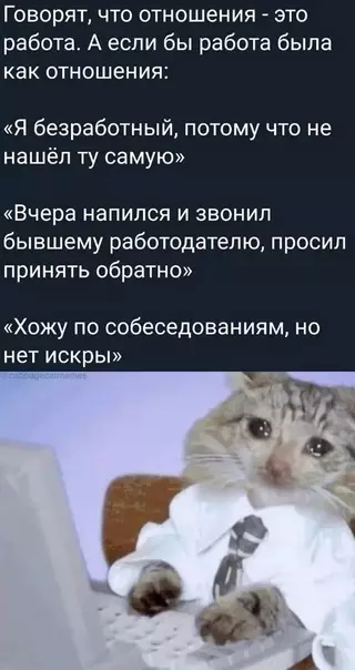 Смешная картинка №719966 работа