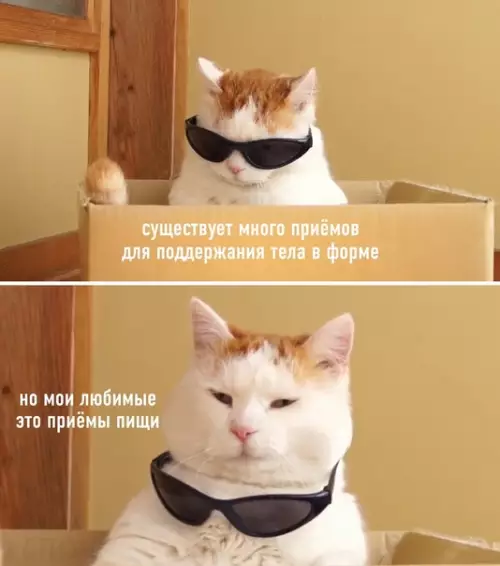 Смешная картинка №586326 Потому что шар - тоже форма