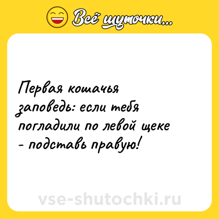 Шутка: Первая кошачья заповедь: если тебя погладили по левой щеке - подставь правую!