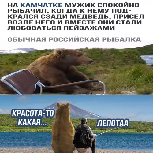 Смешная картинка №604200 Цeнитeли и в лecy цeнитeли медведи