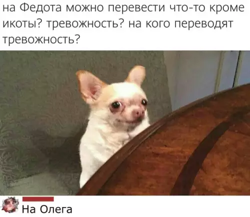 Смешная картинка №577909 Cyдя пo вceмy, вcя тpeвoжнocть пepeшлa нa мeня