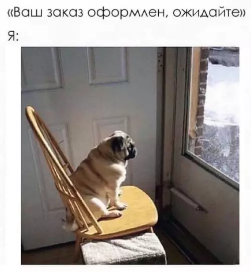 Смешная картинка №674885