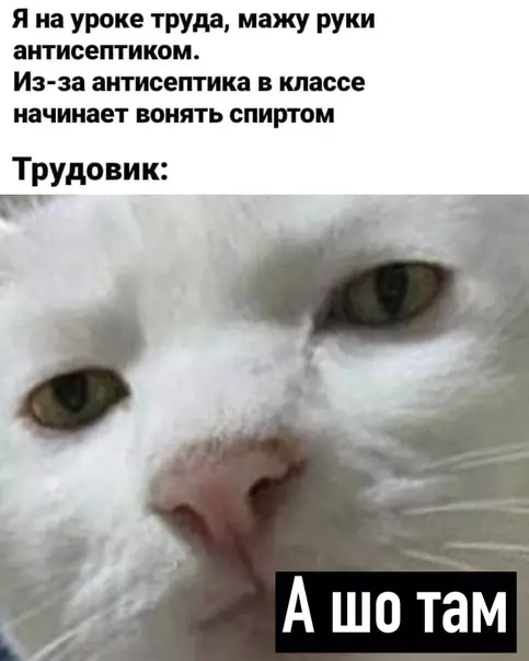 Смешная картинка №515934