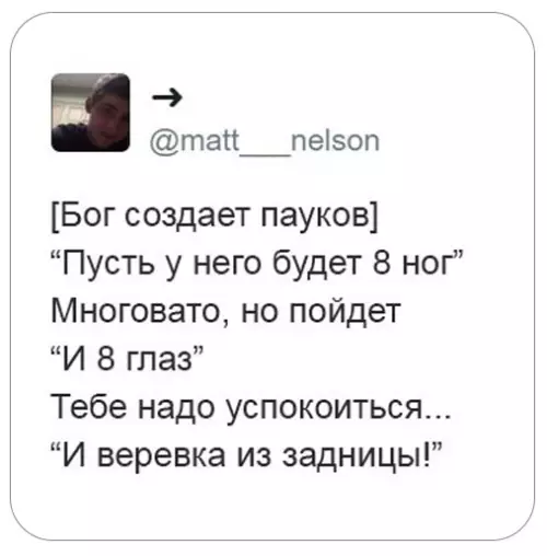 Смешная картинка №452221 Твит-теории о сотворении животного мира Животные