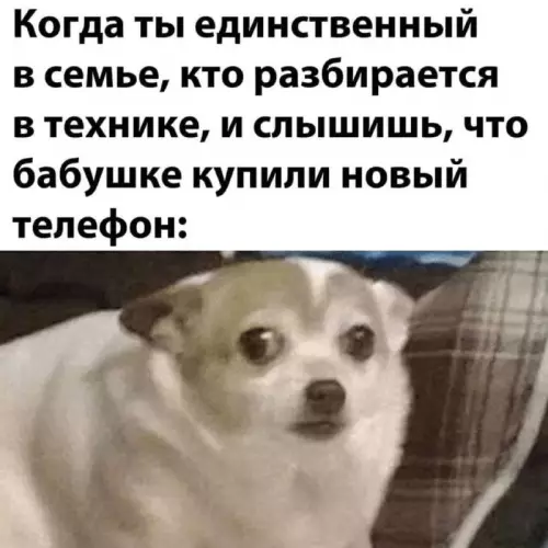 Смешная картинка №674312