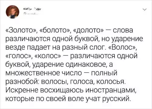Русский язык: уровень сложности Бог 🤯 - Золото , болото , долото слова различаются одной буквой, но