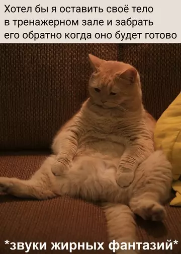 Смешная картинка №764434