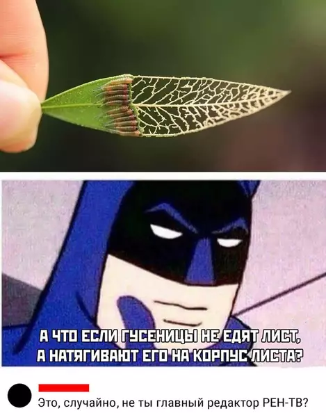 Смешная картинка №454569