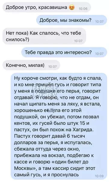 Смешная картинка №460566 Коротко о моих снах