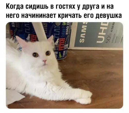 Смешная картинка №368052