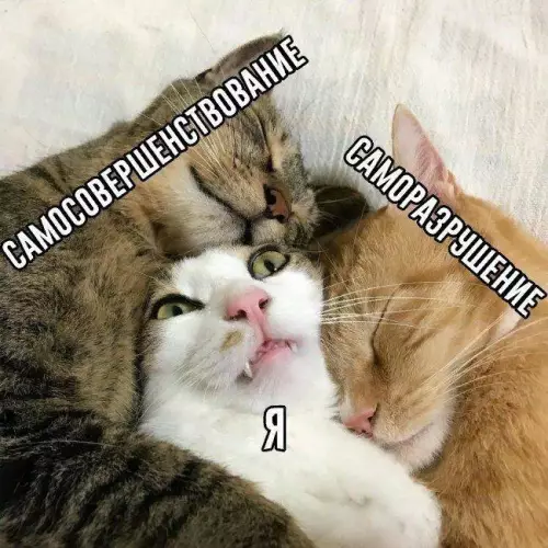 Смешная картинка №717367