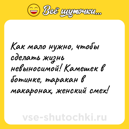 Шутка: Как мало нужно, чтобы сделать жизнь невыносимой! Камешек в ботинке, таракан в макаронах, женский смех!