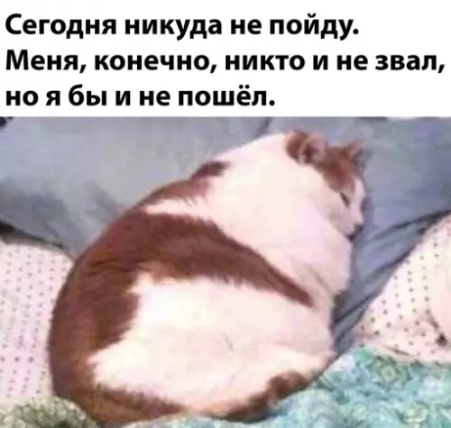 Смешная картинка №721552