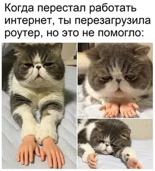 Смешная картинка №231444