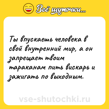 Шутка: Ты впускаешь человека в свой внутренний мир, а он запрещает твоим тараканам пить вискарь и зажигать по выходным.
