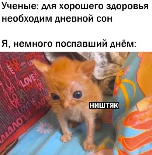 Смешная картинка №702255