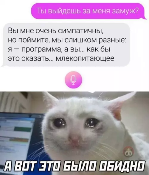 Смешная картинка №617003 Уничтожила ?