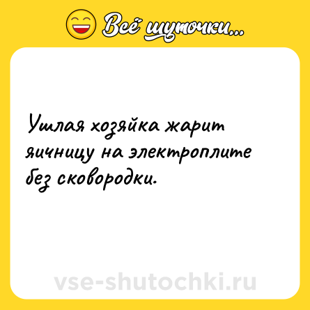 Шутка: Ушлая хозяйка жарит яичницу на электроплите без сковородки.<br>