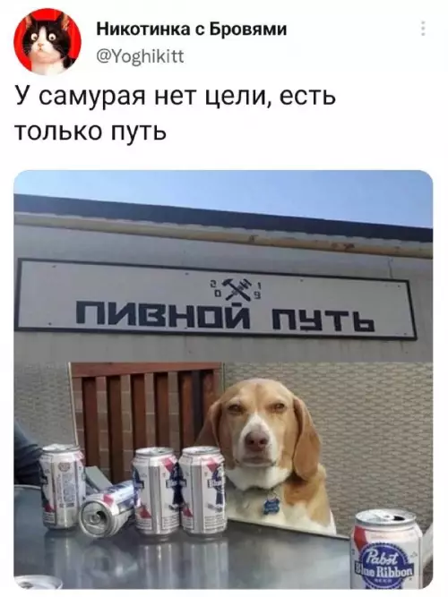 Смешная картинка №672224