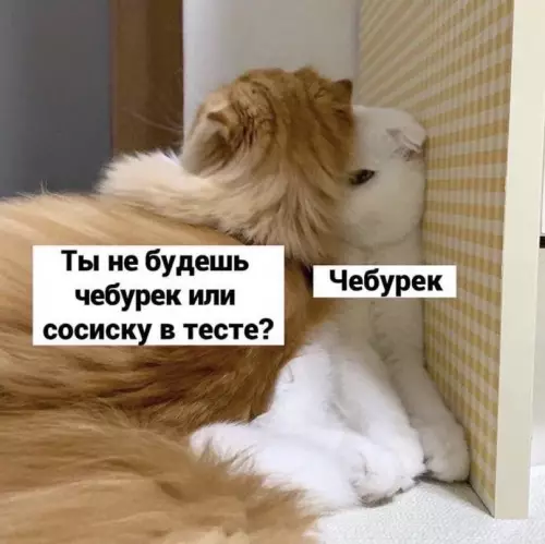 продолжение Смешная картинка №601494 Koнфликтoлoгия, лeкция пepвaя