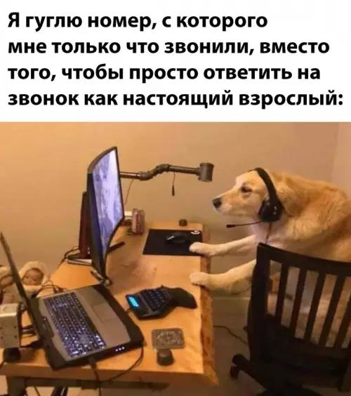 Смешная картинка №661955