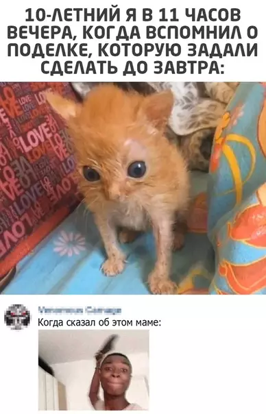 Смешная картинка №533455