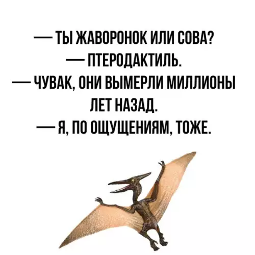 Смешная картинка №341073