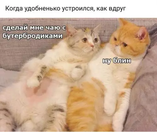 Смешная картинка №223149