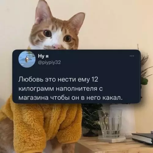 Смешная картинка №669116