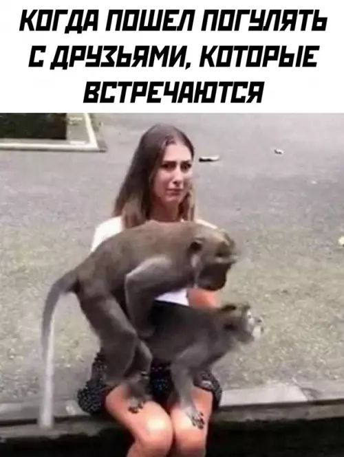 Смешная картинка №650522