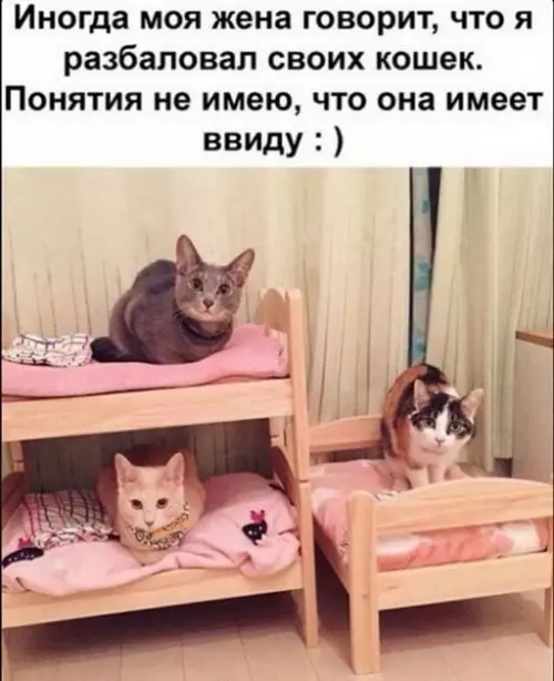 Смешная картинка №652937