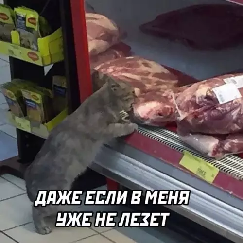продолжение Смешная картинка №582645