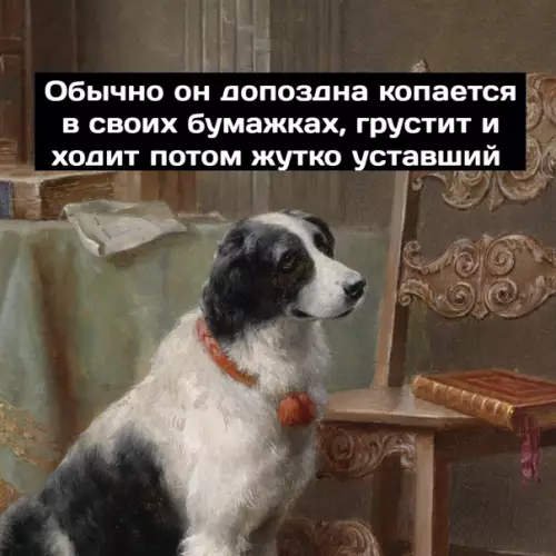 продолжение Смешная картинка №578304 Xopoший мaльчик Собаки