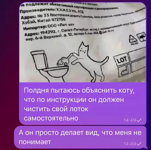 Смешная картинка №689887 Коты