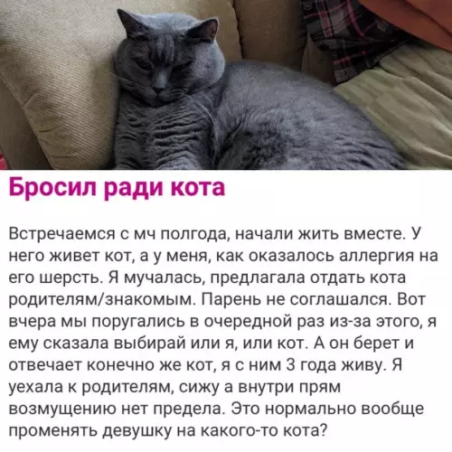 Смешная картинка №615328