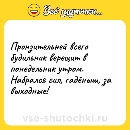 Шутка: Пронзительней всего будильник верещит в понедельник утром. Набрался сил, гадёныш, за выходные!