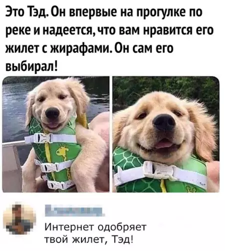 Смешная картинка №368778 Хороший мaльчик, мы гордимся тобой, Тэд!