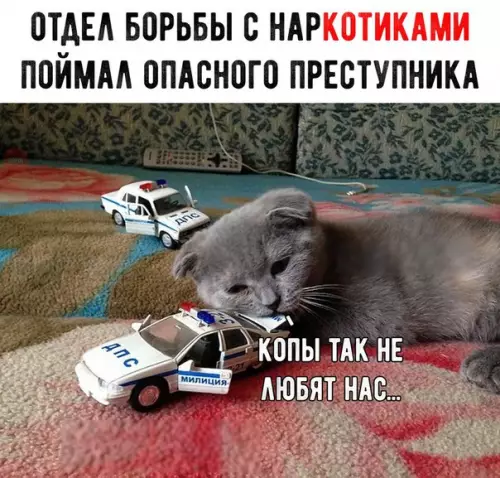 Смешная картинка №237501