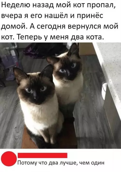 Смешная картинка №651743