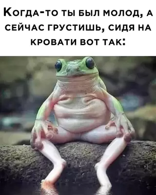 Смешная картинка №664144
