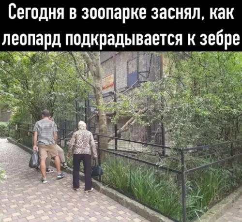 Смешная картинка №528286 Природа удивительна