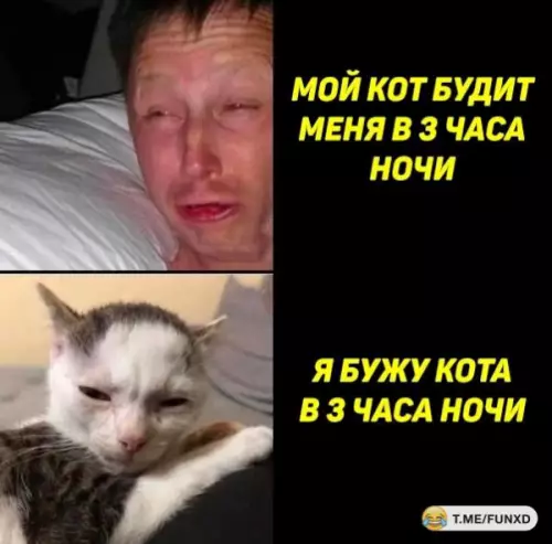 Смешная картинка №660497